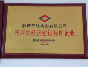 陜西省經(jīng)濟(jì)建設(shè)標(biāo)桿企業(yè)